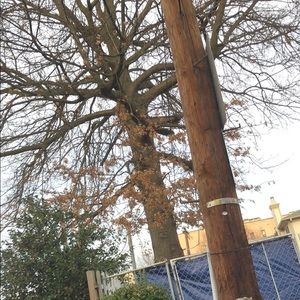 Meet your Posher, Katelyn